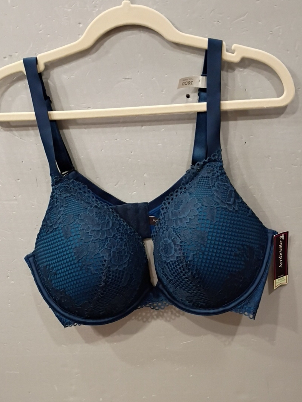 Moen Deep Teal Lace Underwire Bra with Molded Cups